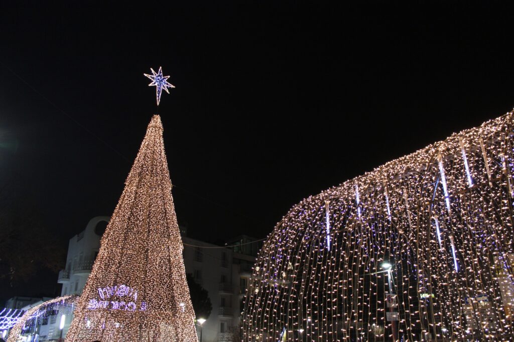Glowing Christmas Lights And Trees