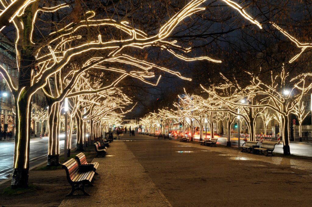Glowing Yellow Christmas Lights And Trees