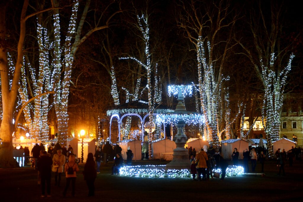 Glowing Blue Christmas Lights And Trees On The Street