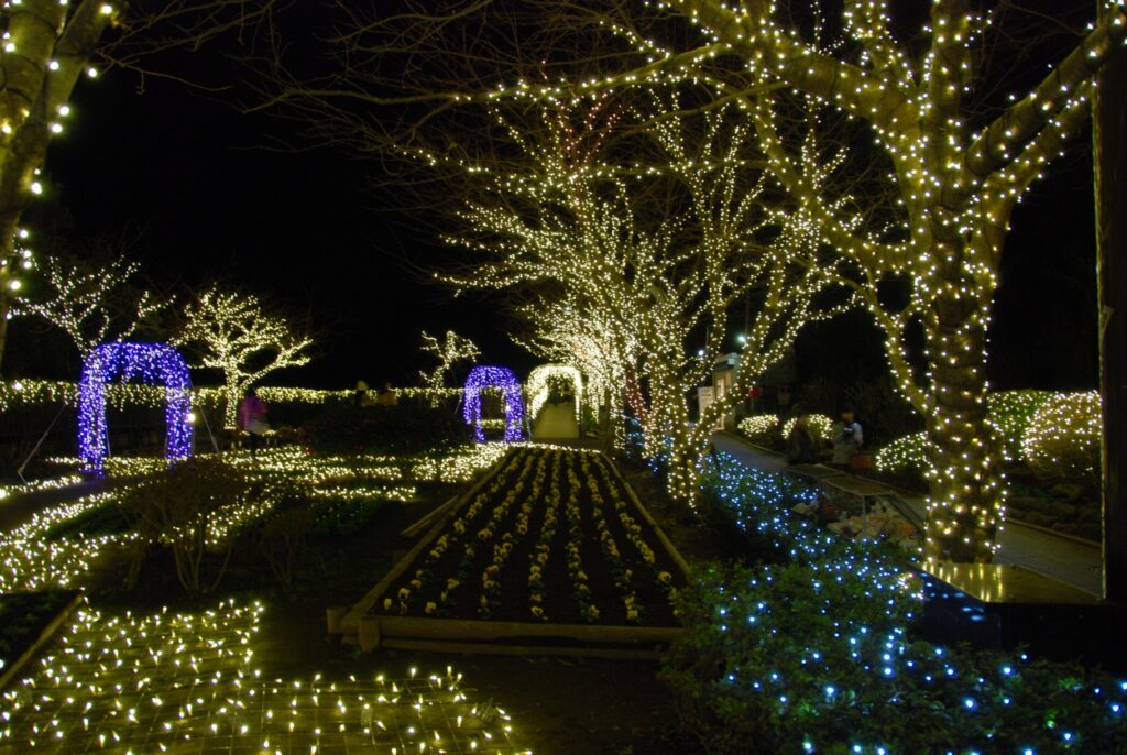 Glowing Christmas Lights And Trees At Home