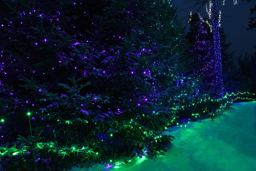 Glowing Christmas Lights And Trees