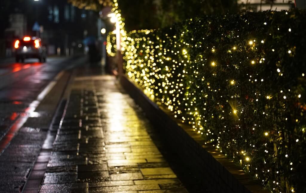 Glowing Christmas Lights And Trees On The Street